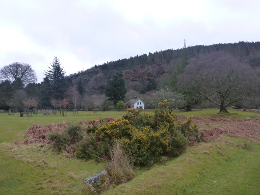 Wicklow, Glendalough, Ireland, an easy day-trip from Dublin. And a darn beautiful one.